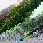 Dreamm Lyz profile icon