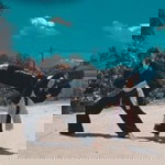 Ari Sanjaya Terate profile icon