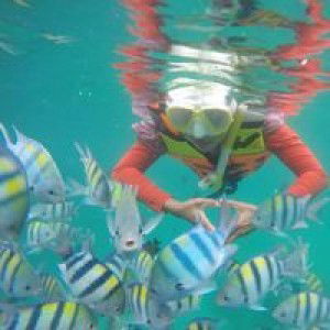 Nieta Chiiebintang Gemienie profile icon