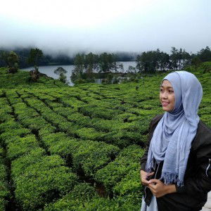 VNR Official profile icon