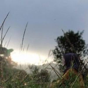 Windi Nagisa profile icon