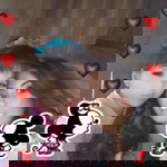 สายฟ้า นิลนารถ profile icon