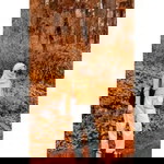 RhismaWati profile icon