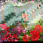 Syarifatin Nisa profile icon