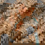 Uchi Suci Novianti profile icon