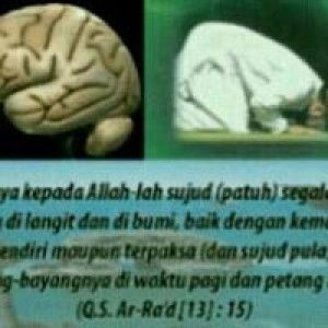 Misni Olviati profile icon