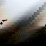 Dheyna Chan profile icon