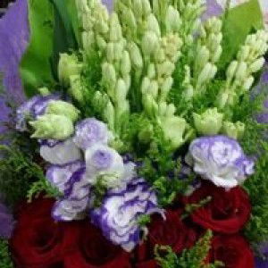 Latifah Ismail profile icon