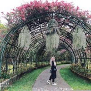 Tri Mulyani profile icon