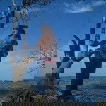 Nova Lianda profile icon