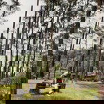 Liiaana Mdf profile icon