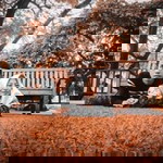 Slamet Riyadi profile icon