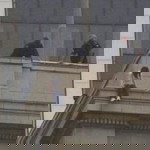 N profile icon