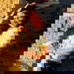 Dennise Tibar profile icon