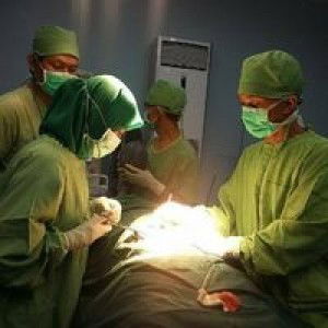 WiwiEd TriSutrisno profile icon