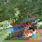 Utri Lestari profile icon