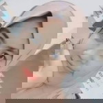 New Rempah Gorontalo profile icon