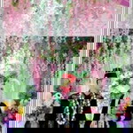 Ambar Retno Wulan profile icon