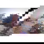 Laila Putri Desvia profile icon