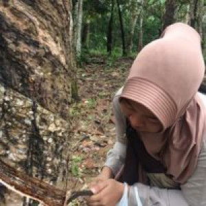 AmeLia Gumay profile icon