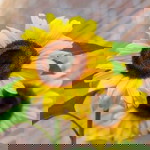 Humaira profile icon