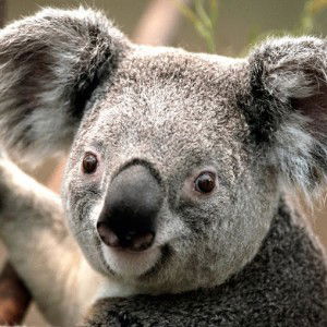 linda147 profile icon