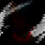 Anutsara Bunsuep profile icon