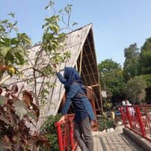 Nining Safari profile icon