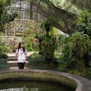 Ayu Suarmi profile icon