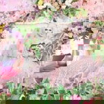 Rustianah profile icon