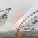 Yully Dwi Anggraeny profile icon