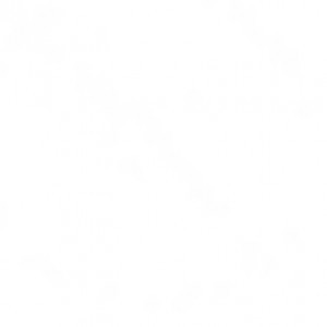 melody moral profile icon