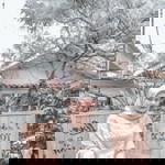 Ditya Aulya profile icon