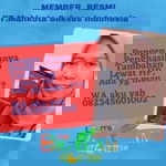 Hera Asril profile icon