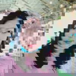 Fon Montira Ratchakaew profile icon