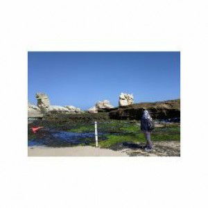 Gita Permata Putri profile icon