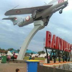 arini widiharti profile icon