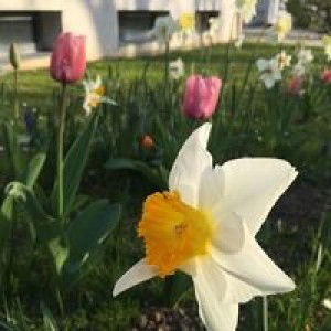 Santi A'rifah profile icon