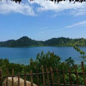 Vega Afrianti profile icon