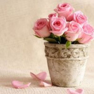 Ayu Dewi profile icon