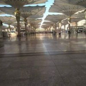 Ummu Nara profile icon