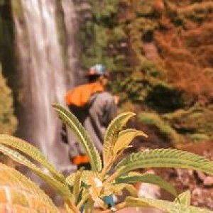 Anis Anisa profile icon