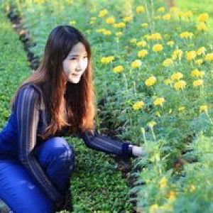 AN Aom Pimchaya AN profile icon