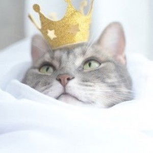 Hanis Najihah profile icon