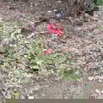 Syaqira Al fath profile icon