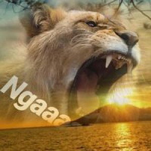 Nida Faidah profile icon