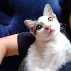 นางร้าย ป้ายแดง profile icon