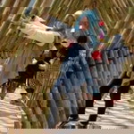 TriYuni Ana'e Busunarti profile icon