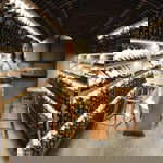 Rebecca Daigan Ortiz profile icon