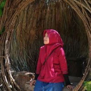 Ayu Nur Alifah profile icon